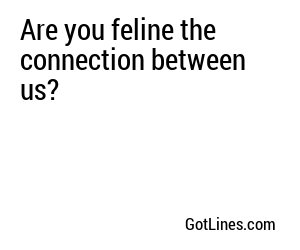 Are you feline the connection between us?
