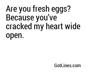 Are you fresh eggs? Because you’ve cracked my heart wide open.
