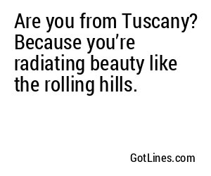 Are you from Tuscany? Because you’re radiating beauty like the rolling hills.