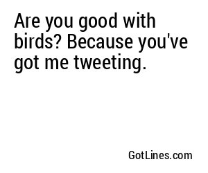 Are you good with birds? Because you've got me tweeting.