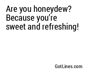 Are you honeydew? Because you’re sweet and refreshing!