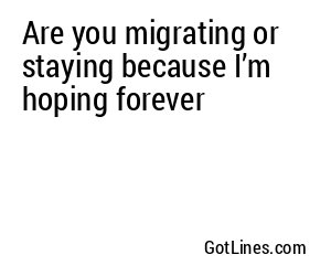 Are you migrating or staying because I’m hoping forever