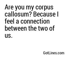 Are you my corpus callosum? Because I feel a connection between the two of us.
