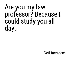 Are you my law professor? Because I could study you all day.
