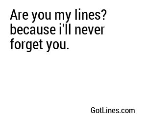 Are you my lines? because i'll never forget you.
