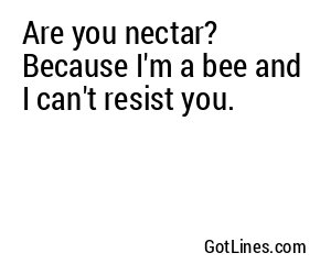 Are you nectar? Because I'm a bee and I can't resist you.