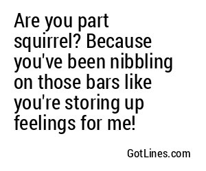 Are you part squirrel? Because you've been nibbling on those bars like you're storing up feelings for me!