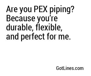 Are you PEX piping? Because you’re durable, flexible, and perfect for me.
