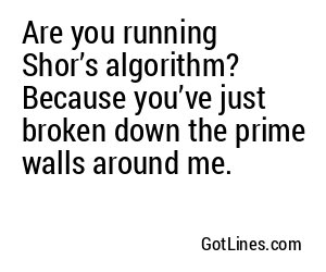 Are you running Shor’s algorithm? Because you’ve just broken down the prime walls around me.