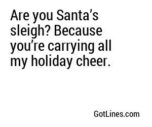 Are you Santa’s sleigh? Because you’re carrying all my holiday cheer.

