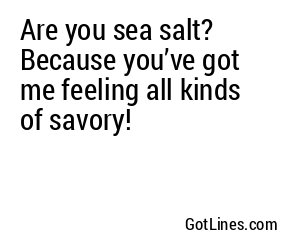 Are you sea salt? Because you’ve got me feeling all kinds of savory!