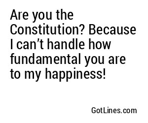 Are you the Constitution? Because I can’t handle how fundamental you are to my happiness!