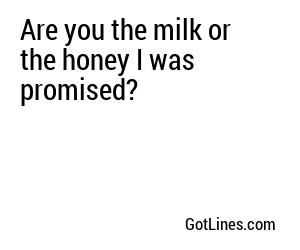 Are you the milk or the honey I was promised?