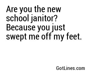 Are you the new school janitor? Because you just swept me off my feet.