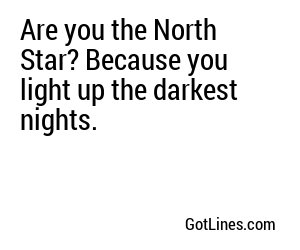 Are you the North Star? Because you light up the darkest nights.