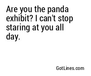 Are you the panda exhibit? I can't stop staring at you all day.