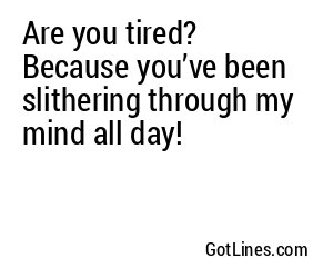 Are you tired? Because you’ve been slithering through my mind all day!