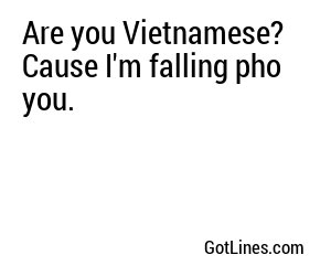 Are you Vietnamese? Cause I'm falling pho you.
