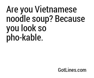 Are you Vietnamese noodle soup? Because you look so pho-kable.
