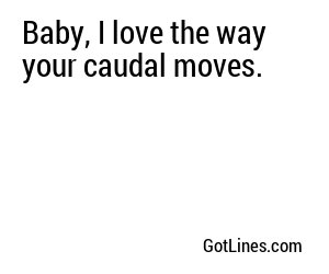 Baby, I love the way your caudal moves.
