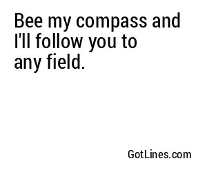 Bee my compass and I'll follow you to any field.