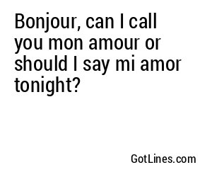 Bonjour, can I call you mon amour or should I say mi amor tonight?