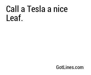 Call a Tesla a nice Leaf.
