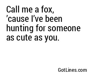 Call me a fox, ’cause I’ve been hunting for someone as cute as you.