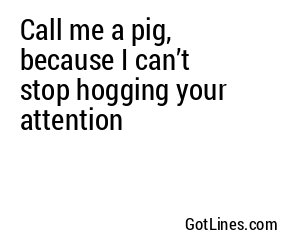 Call me a pig, because I can’t stop hogging your attention