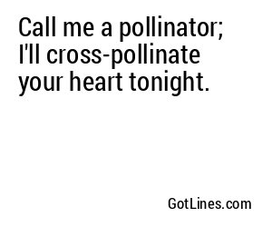 Call me a pollinator; I'll cross-pollinate your heart tonight.