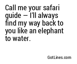 Call me your safari guide — I'll always find my way back to you like an elephant to water.