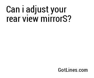 Can i adjust your rear view mirrorS?
