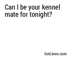 Can I be your kennel mate for tonight?
