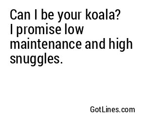 Can I be your koala? I promise to cling, nap, and smother you in cuddles.