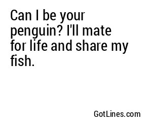 Can I be your penguin? I'll mate for life and share my fish.