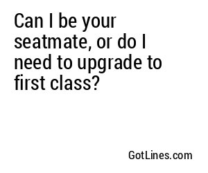 Can I be your seatmate, or do I need to upgrade to first class?