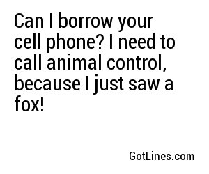Can I borrow your cell phone? I need to call animal control, because I just saw a fox!
