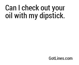 Can I check out your oil with my dipstick.
