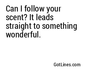 Can I follow your scent? It leads straight to something wonderful.