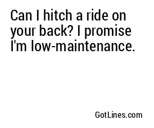 Can I hitch a ride on your back? I promise I'm low-maintenance.