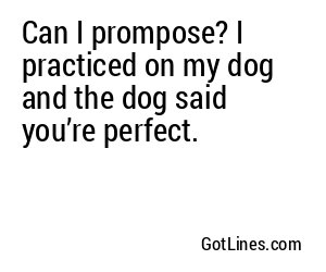 Can I prompose? I practiced on my dog and the dog said you’re perfect.