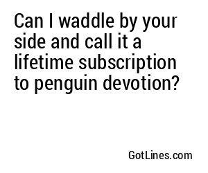 Can I waddle by your side and call it a lifetime subscription to penguin devotion?