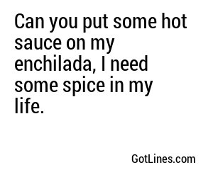 Can you put some hot sauce on my enchilada, I need some spice in my life.
