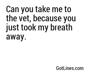 Can you take me to the vet, because you just took my breath away.
