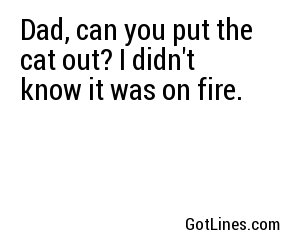 Dad, can you put the cat out? I didn't know it was on fire.
