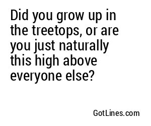 Did you grow up in the treetops, or are you just naturally this high above everyone else?