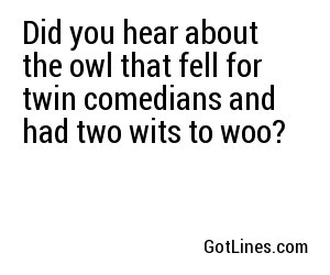 Did you hear about the owl that fell for twin comedians and had two wits to woo?
