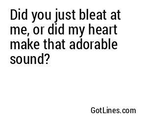 Did you just bleat at me, or did my heart make that adorable sound?