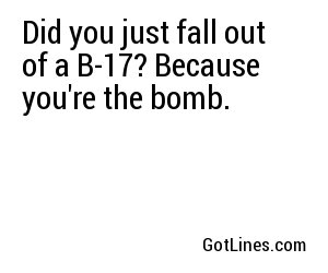 Did you just fall out of a B-17? Because you're the bomb.
