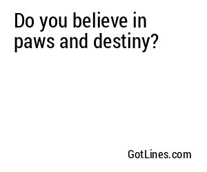 Do you believe in paws and destiny?
